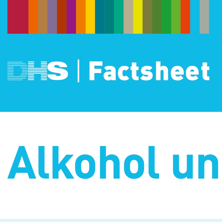 Ausschnitt Factsheet der DHS